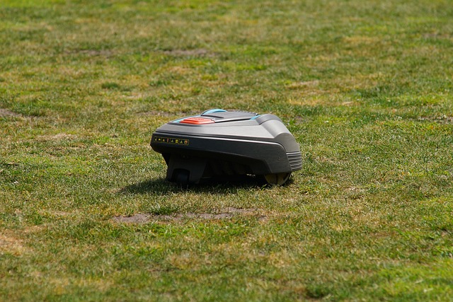 Den ultimative guide til at vælge den rigtige robotplæneklipper til din have